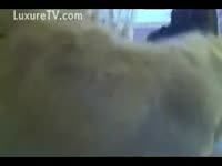Pet Porn Movie - Amateur Married slut in hardcore brute sex